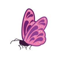 lindo animal mariposa vector