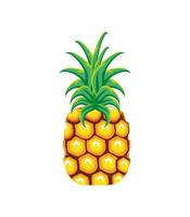 tropical fruit pineapple vector