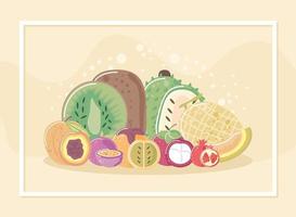 frutas frescas exóticas tropicales como kiwi melocotón melón vector