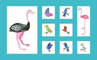 tropical birds set vector