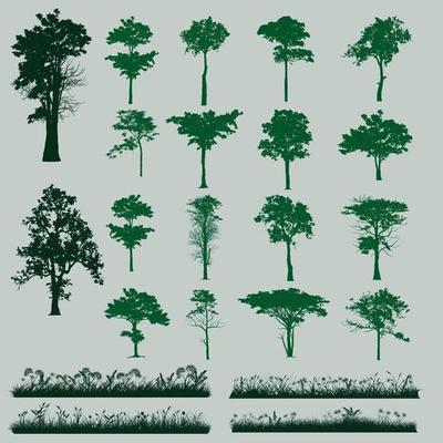 trees and grass silhouette