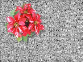 glittering grey Christmas background photo