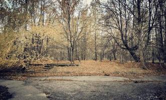 Pripyat, Ukraine, 2021 - Abandoned park in Chernobyl photo