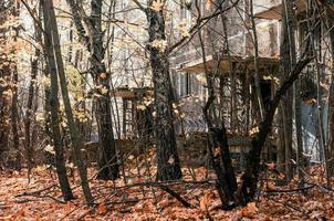 Pripyat, Ukraine, 2021 - Abandoned house among the trees in the city of Chernobyl photo