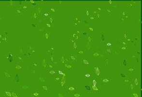 Light Green vector sketch pattern.