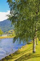 abedules y río en hermoso flam, aurlandsfjord sognefjord noruega. foto