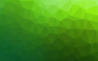 Light Green vector polygonal background.