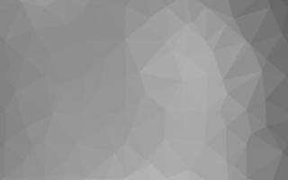 Light Silver, Gray vector polygonal background.