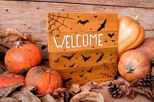 Welcome wooden sign with pile of pumpkins and pine cones photo