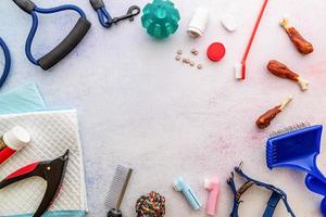 Dog caring tools brushes, pills, nail clipper, leash, medicine, toilet pad, snacks and toys scattered on white background top view photo