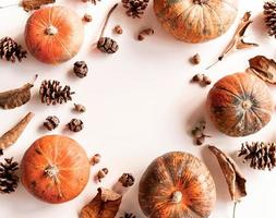 Pumpkins, pine cones, dry leaves and acorns in a circle frame top view on white photo