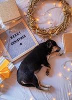 lindo perrito acostado en la cama con tablero de fieltro de feliz navidad, regalos, corona y luces vista superior foto