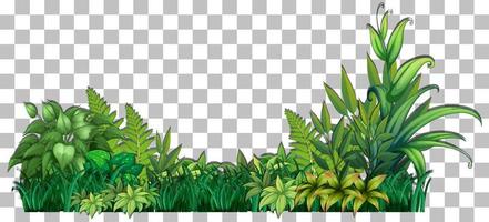 césped y plantas en el fondo de la cuadrícula para la decoración vector