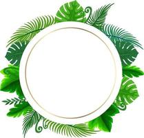 Round frame with tropical green leaves vector
