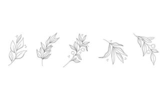 Establecer hierba rizada dibujada a mano y flores sobre fondo blanco aislado. Ilustración botánica. cuadro floral decorativo.