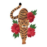The symbol of the eastern zodiac of 2022, the year of the tiger. Chinese tiger on the background of bright peonies. Vector. vector
