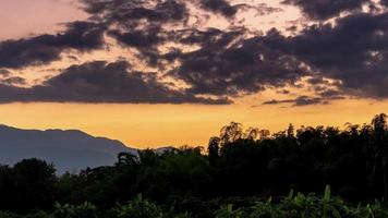 Zeitraffer-Sonnenuntergang mit goldgelben Reisfeldern, die sich vom abstrakten bunten Hintergrund entfernen. 4k video