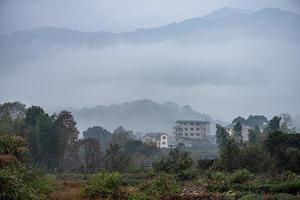 Tea mountain and forest in morning fog photo