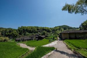 A road leading to a distance in the country, with houses and green forests or fields photo