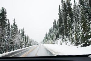 conduciendo por una carretera canadiense de montaña en invierno. hermosos pinos nevados alrededor y solo un auto acercándose. parque nacional banff foto
