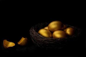 Golden egg and eggshell in nest isolated at black background photo