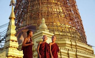 portrait of group of asian novice monk standing at monasery photo