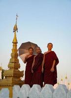 Retrato de grupo de monje novicio asiático de pie en el monasterio foto