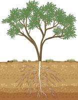 Big tree growing on solid soil vector
