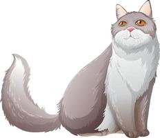 Fluffy persian cat sitting on white background vector