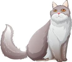 Fluffy persian cat sitting on white background vector