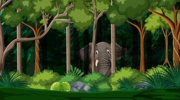 Wild animals in forest landscape background vector