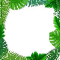 Square frame with tropical green leaves vector