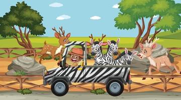 Escena de safari con muchas cebras en un camión. vector