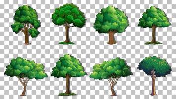 Set of variety trees on grid background vector