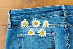 Daisy flowers seamless pattern on jeans background.