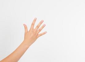 Woman's hand up. handbreadth isolated on a white background. Front view. Mock up. Copy space. Template. Blank. photo