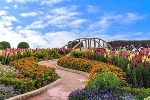 pasarela en el jardín foto