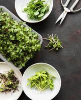 Assortment of micro greens at black background, copy space, top view. photo