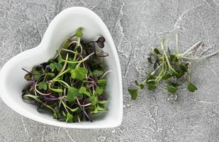 Red radish microgreens on a concrete table, healthy concept photo
