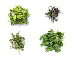 Assortment of micro greens at white background,  top view. Healthy lifestyle photo