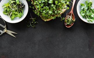 Assortment of micro greens at black background, copy space, top view. Healthy lifestyle photo