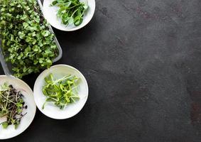 Assortment of micro greens photo