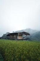 In a wooden hut in a green rice field photo