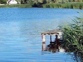 Fishing on the lake and river fish photo