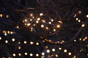Las guirnaldas borrosas de año nuevo brillan por la noche en composición foto