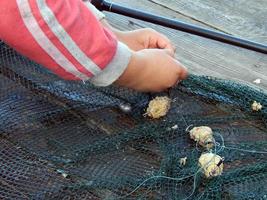 Fishing on the lake and river fish photo