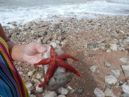 viajar por montenegro, el mar adriático, paisajes foto