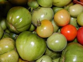 Vegetables in the country in the hand and the background photo