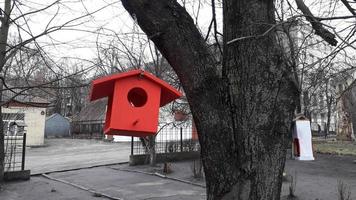 Handmade bird feeders hanging on tree branches photo