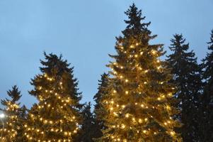 La tarde y la noche el árbol de navidad brilla con luces en la ciudad en invierno borrosa